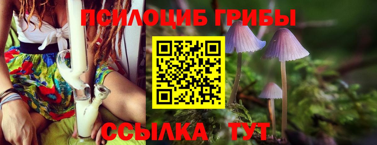 Галлюциногенные грибы Psilocybe  Вход с VPN  Коломна 